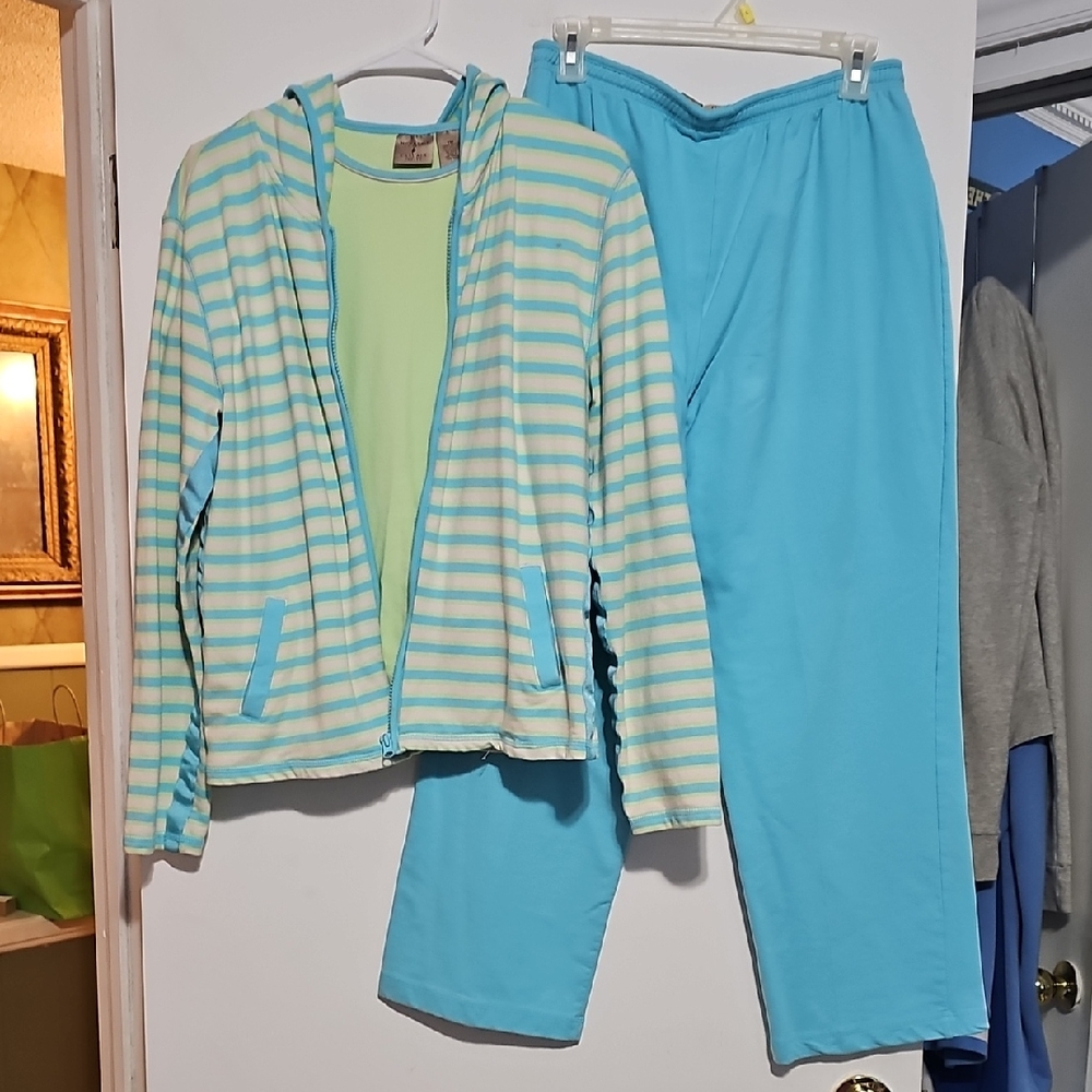 Mountain Lake 3 Pc Striped Blue and Cream Jacket Top And Pant Set Petite Medium